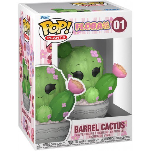 Barrel Cactus dans sa boîte