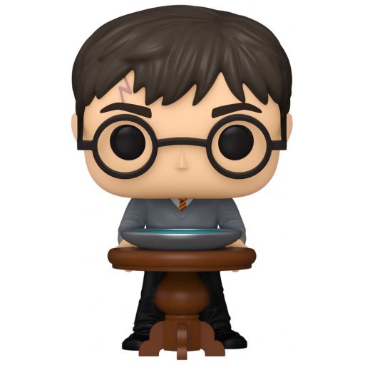 Funko POP Harry Potter with Pensieve (Harry Potter)
