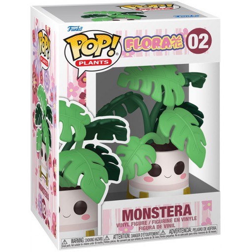Monstera dans sa boîte