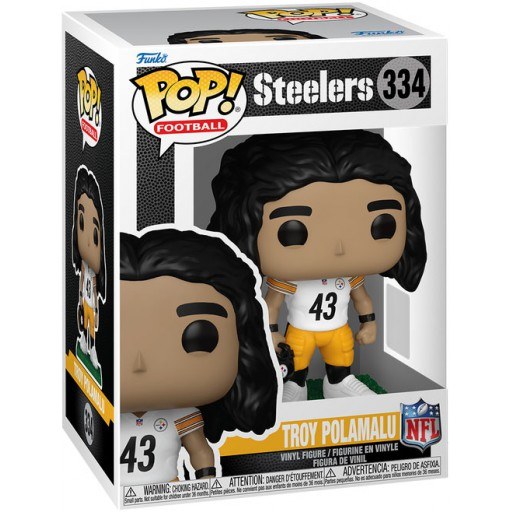 Troy Polamalu dans sa boîte