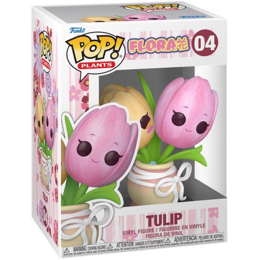 Tulip dans sa boîte