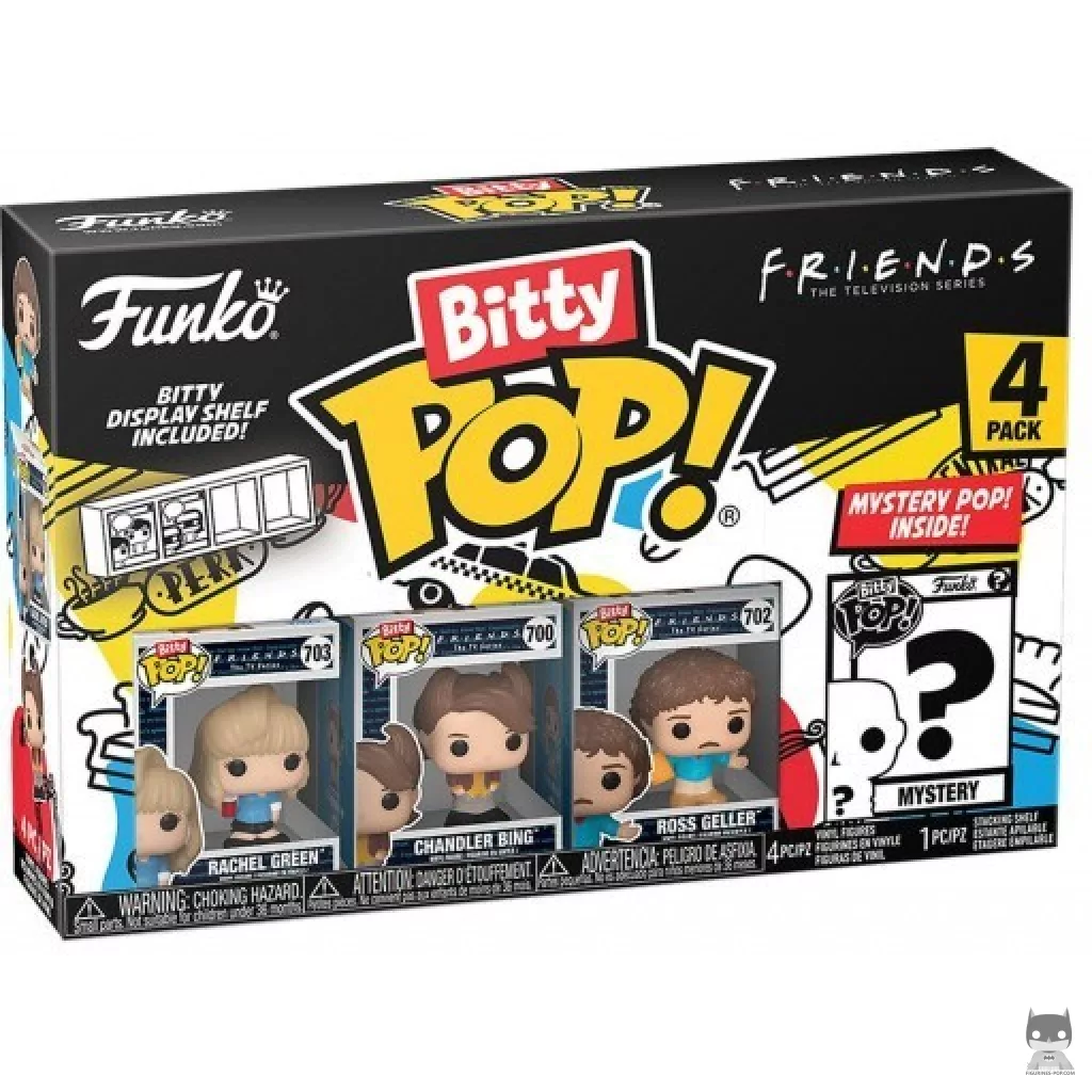 Friends (Series 1) Funko Pop! figure in its box