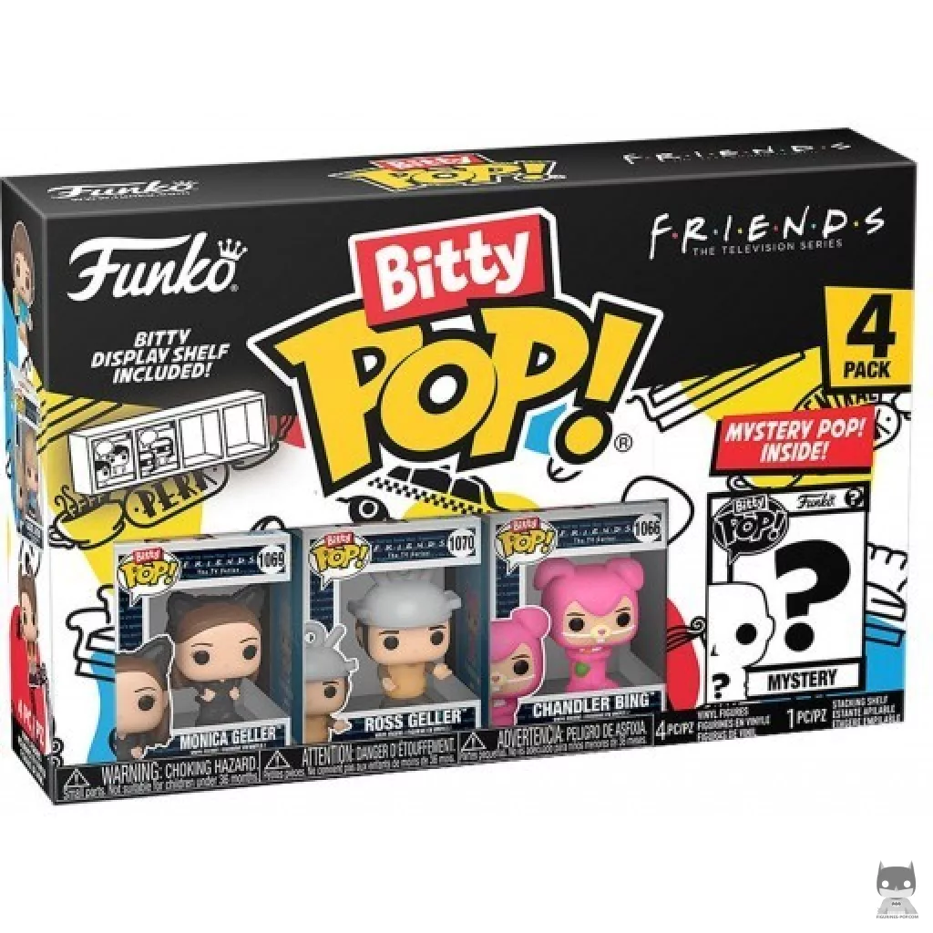 Friends (Series 3) Funko Pop! figure in its box