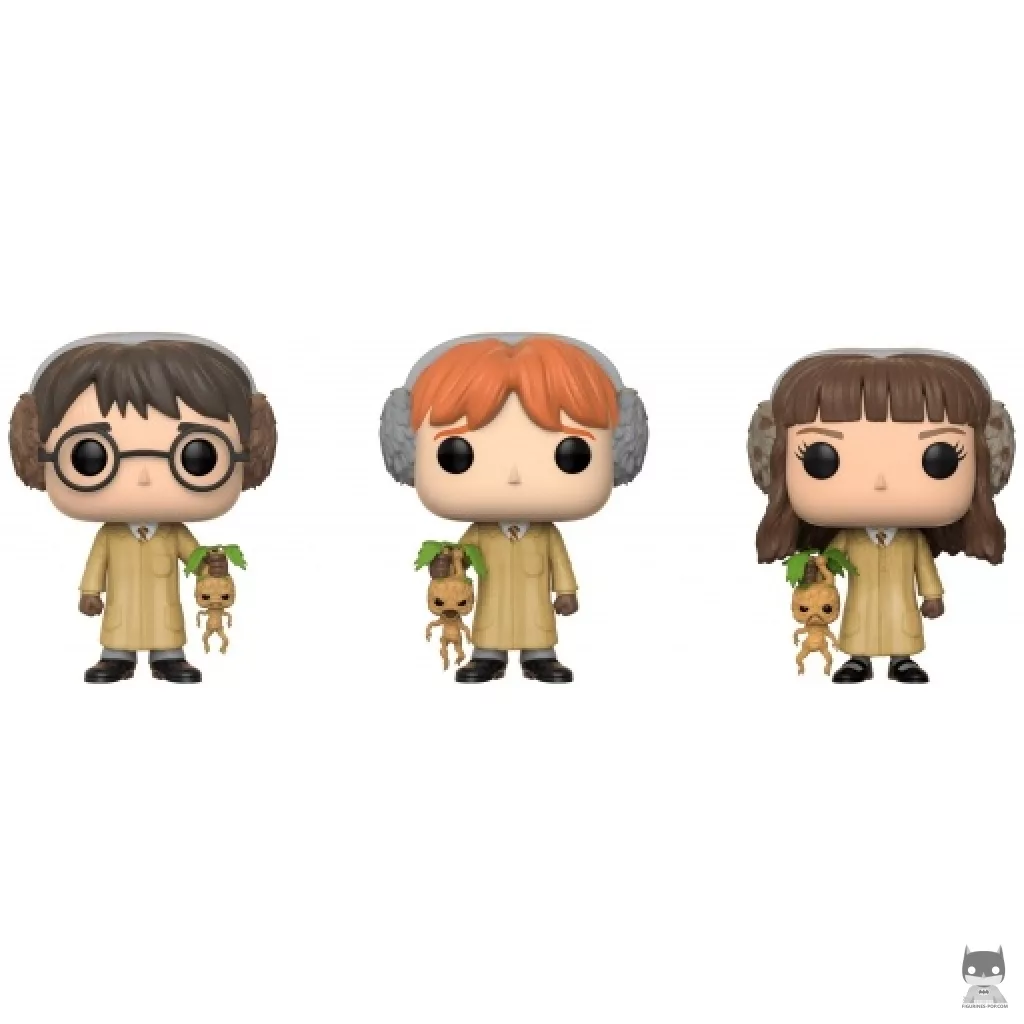 Herbology (Harry Potter, Ron Weasley & Hermione Granger) Funko Pop! figure (Harry Potter)