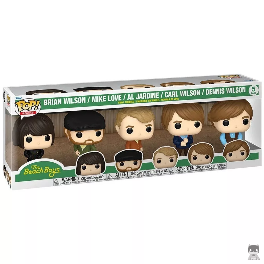 Beach Boys Funko Pop! figure in its box