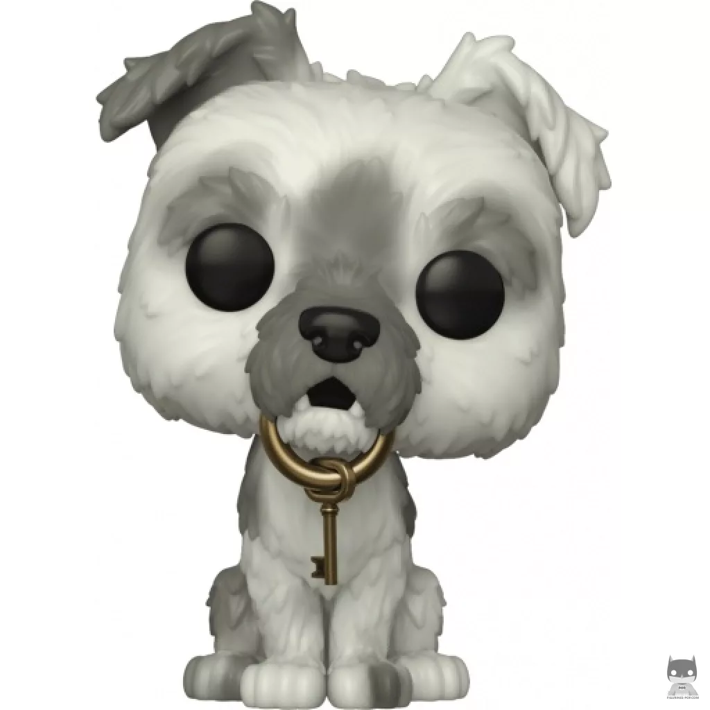 Pirates of the Caribbean Dog Funko Pop! figure (Walt Disney World 50th Anniversary)