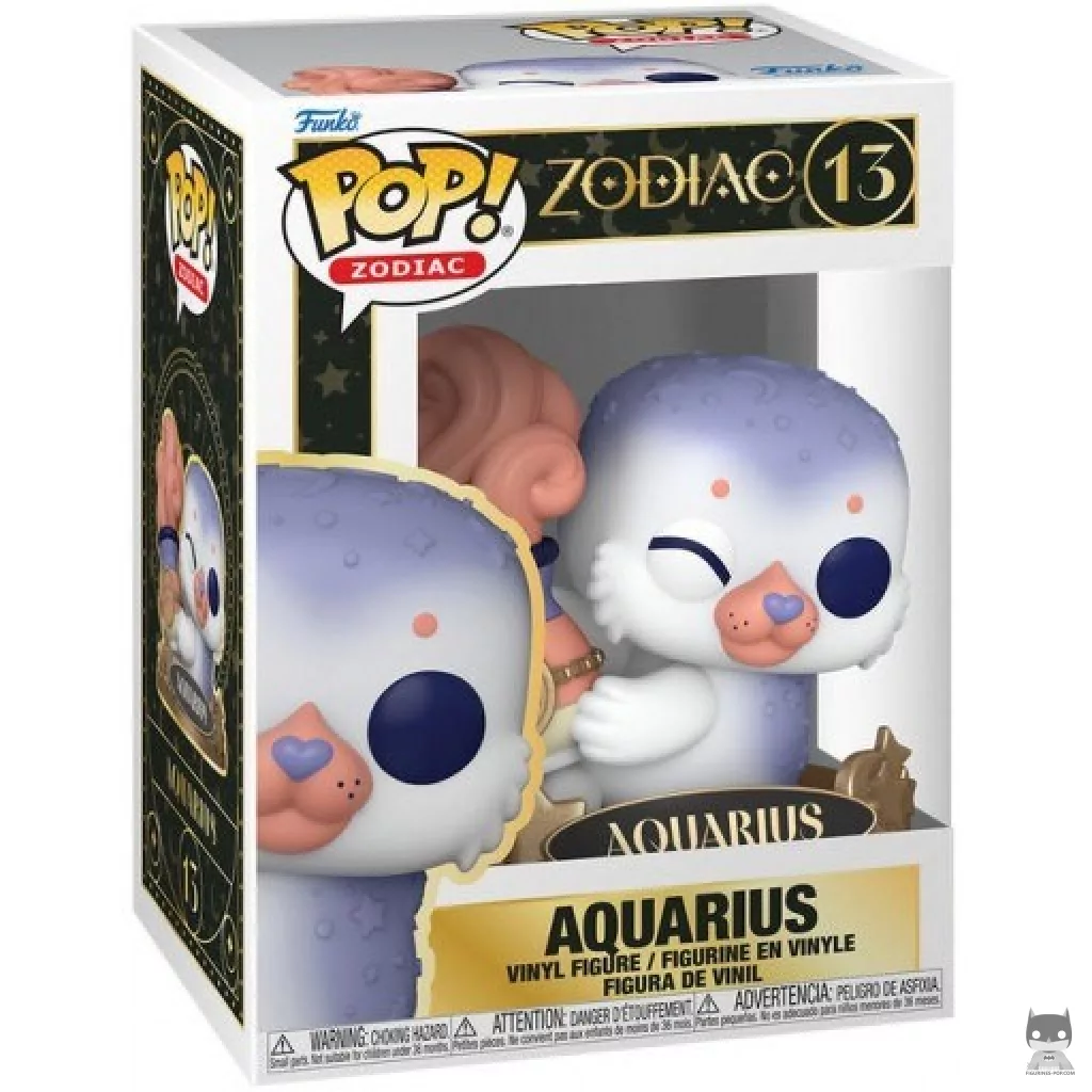 Aquarius Funko Pop! figure in its box