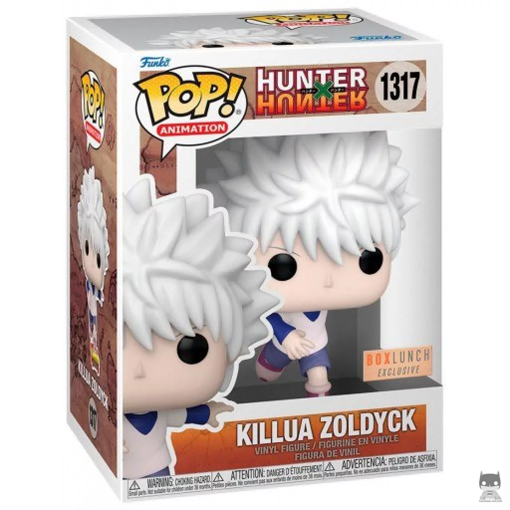 Killua Zoldyck Skateboarding Funko Pop! figure in its box