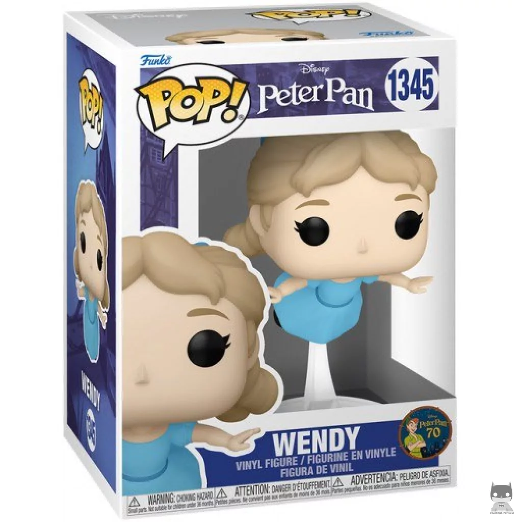 Wendy Funko Pop! figure in its box