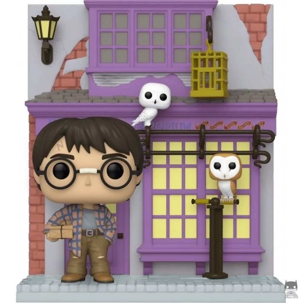 Harry Potter with Eeylops Owl Emporium (Diagon Alley) Funko Pop! figure (Harry Potter)