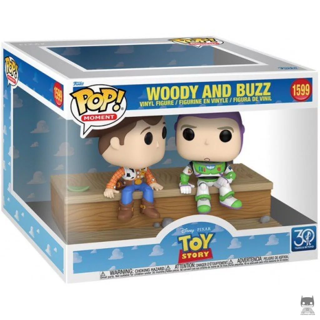 Woody and Buzz (Moment) Funko Pop! figure in its box