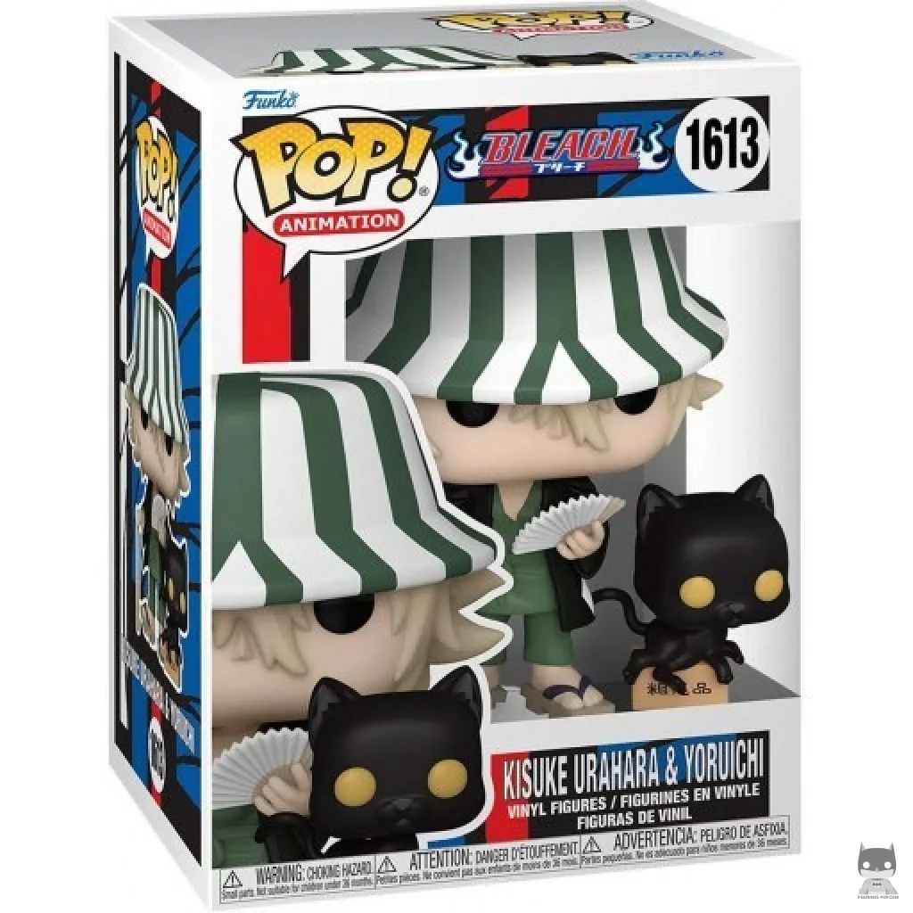 Kisuke Urahara & Yoruichi Funko Pop! figure in its box