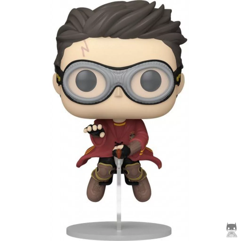 Harry Potter on Nimbus 2000 Funko Pop! figure (Harry Potter)