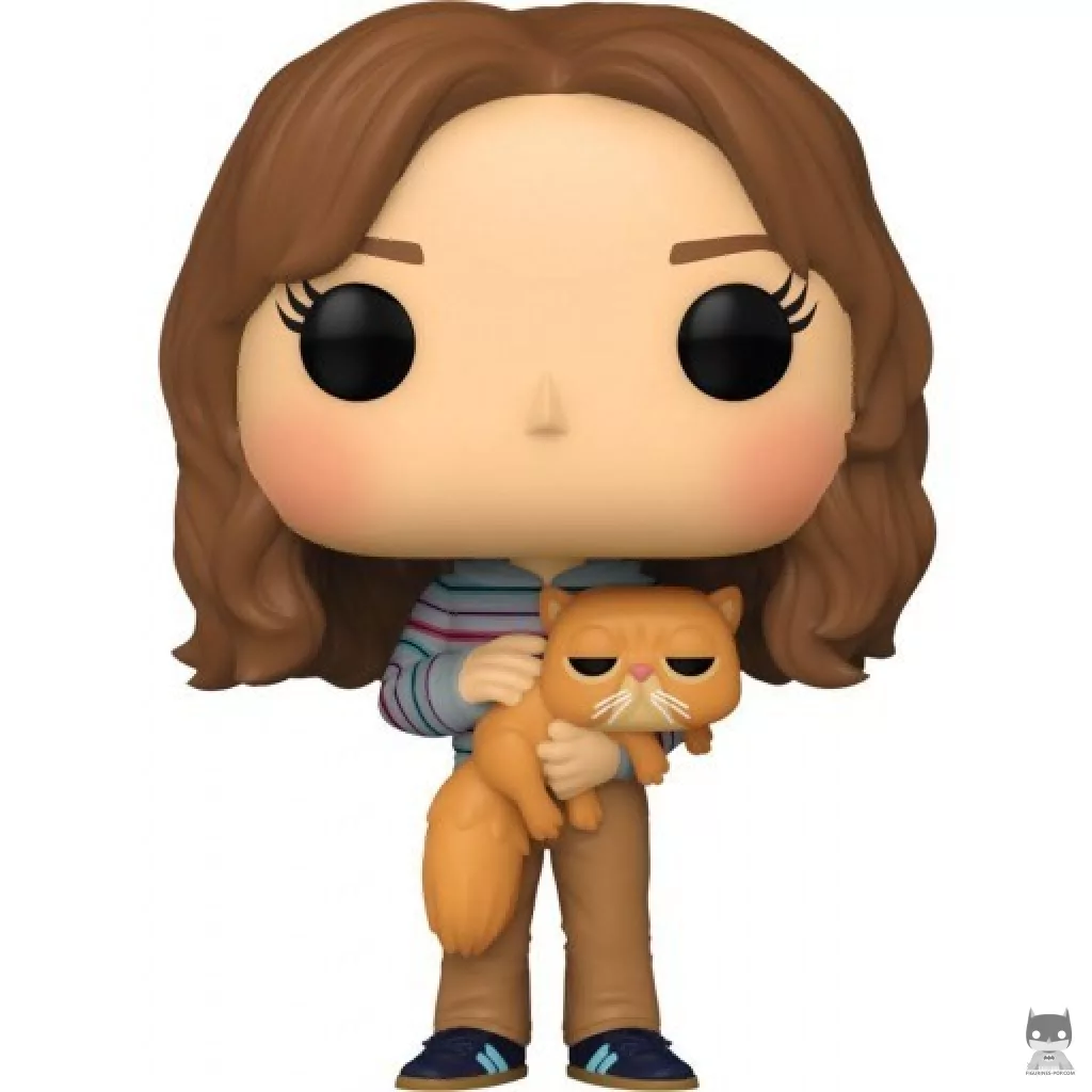 Hermione Granger with Crookshanks Funko Pop! figure (Harry Potter)