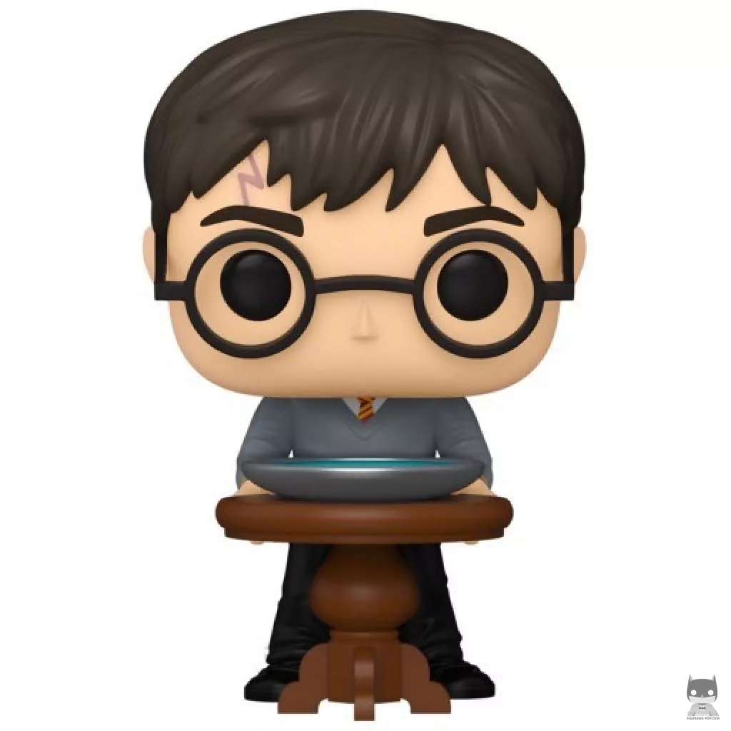 Harry Potter with Pensieve Funko Pop! figure (Harry Potter)