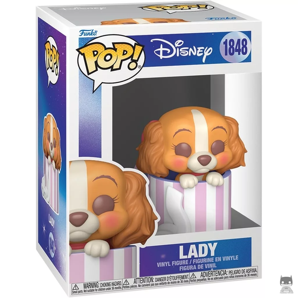 Lady Funko Pop! figure in its box