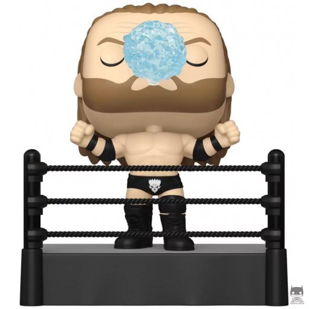 Triple H Funko Pop! figure (WWE)