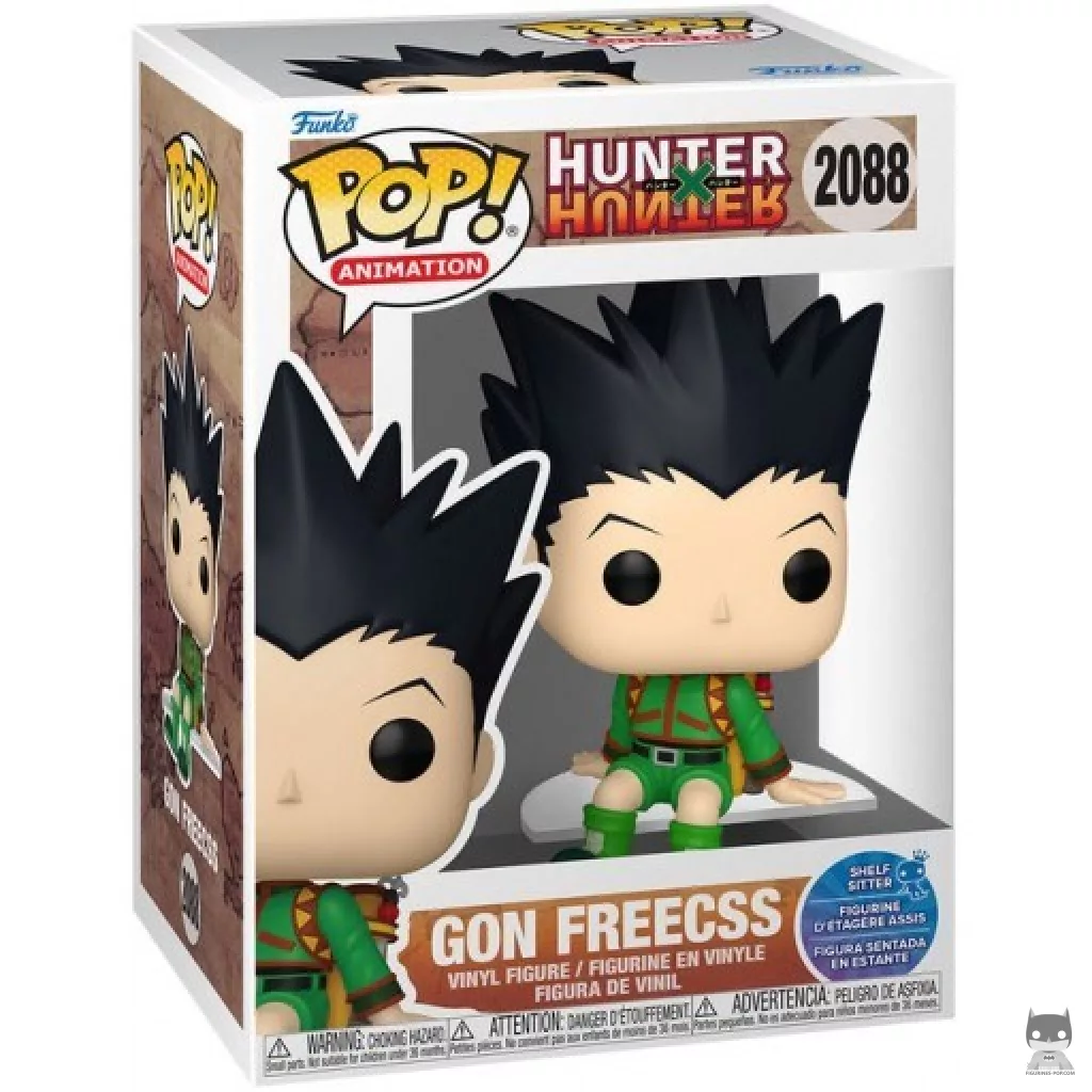Gon Freecss (Shelf Sitter) Funko Pop! figure in its box