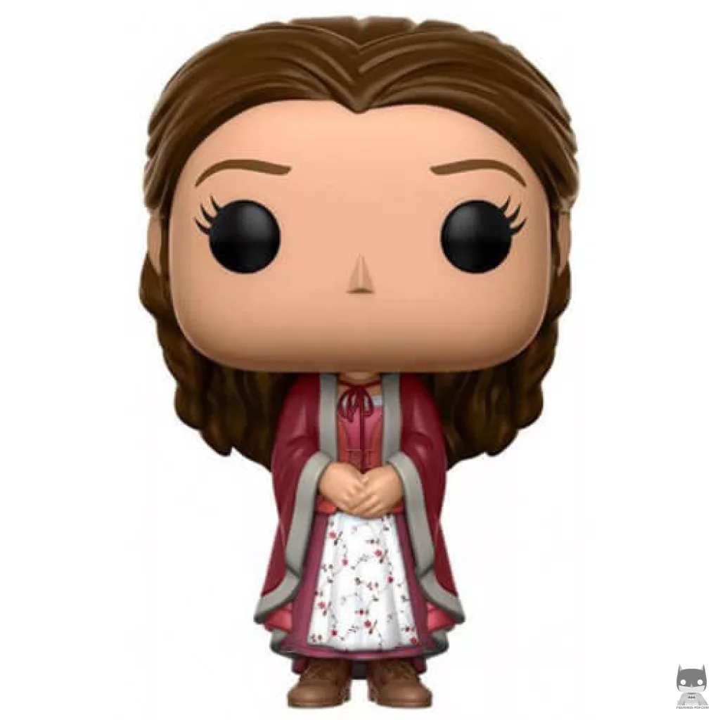Belle Castle Grounds Funko Pop! figure (Beauty and The Beast)
