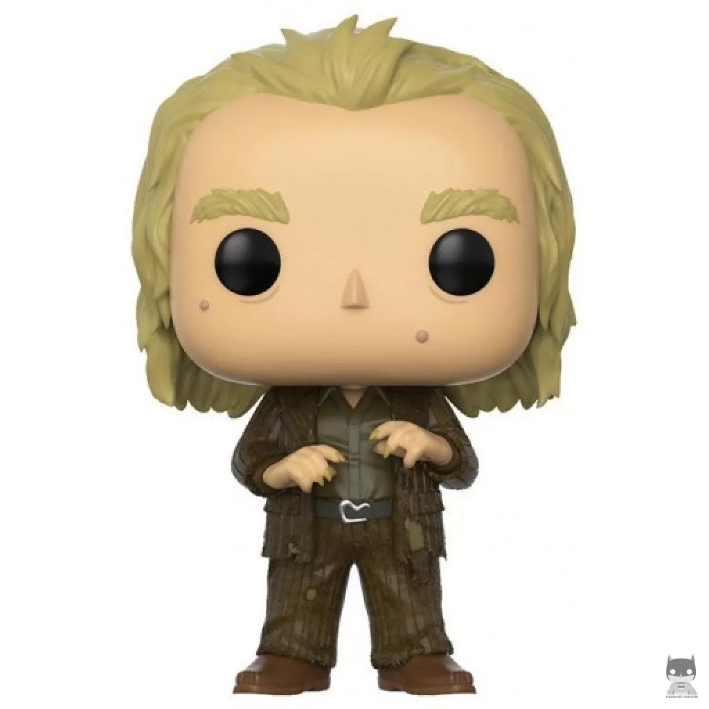 Peter Pettigrew Funko Pop! figure (Harry Potter)