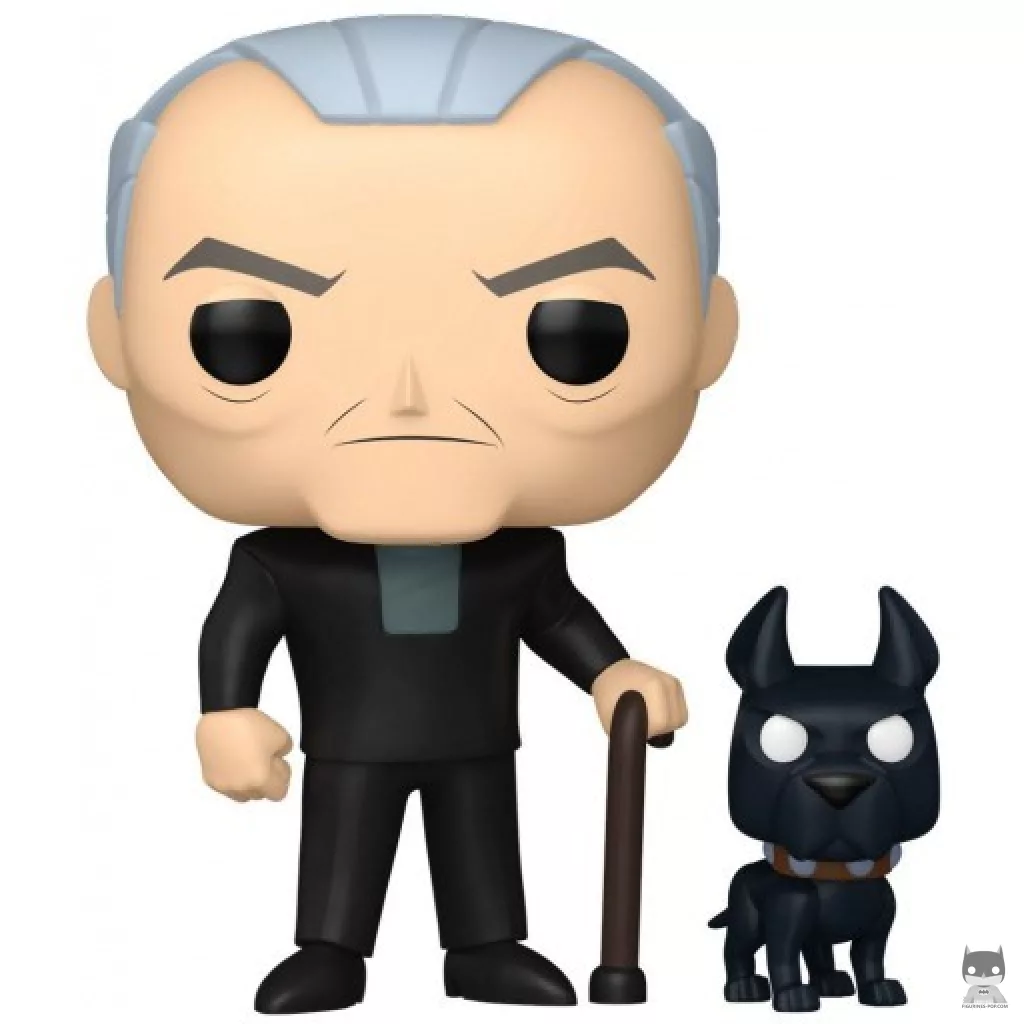 Bruce Wayne & Ace Funko Pop! figure (Batman Beyond)