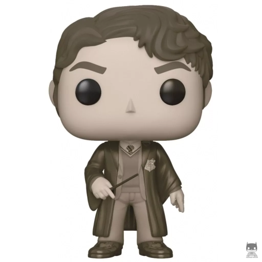Tom Riddle (Sepia) Funko Pop! figure (Harry Potter)