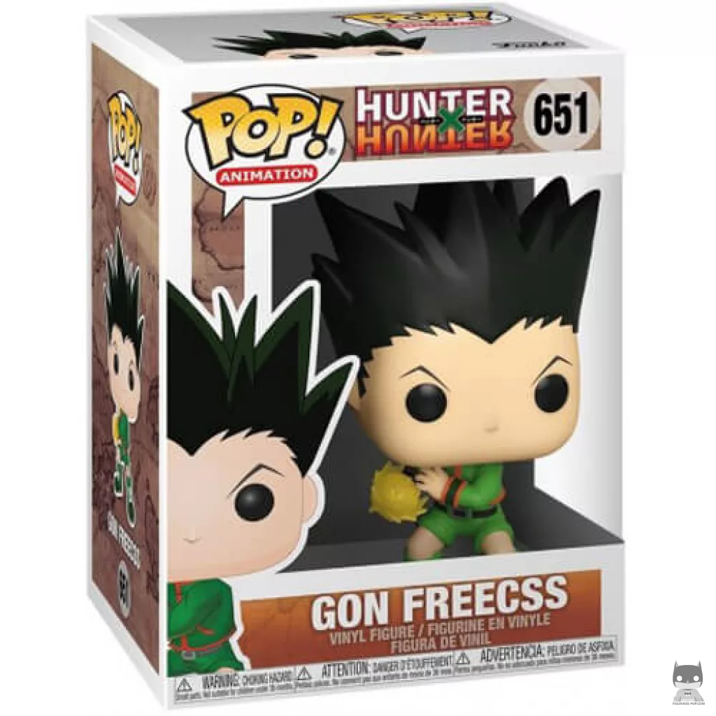 Gon Freecss Funko Pop! figure in its box