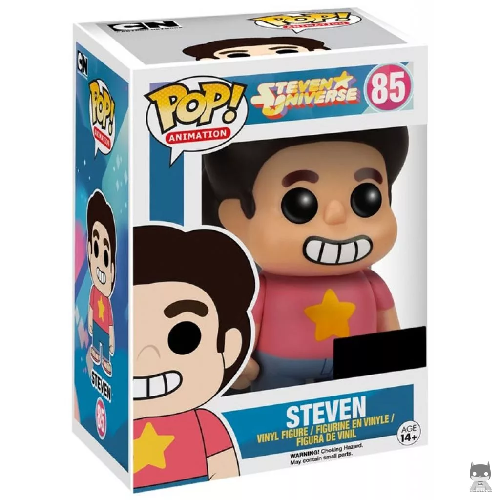 Steven Funko Pop! figure in its box