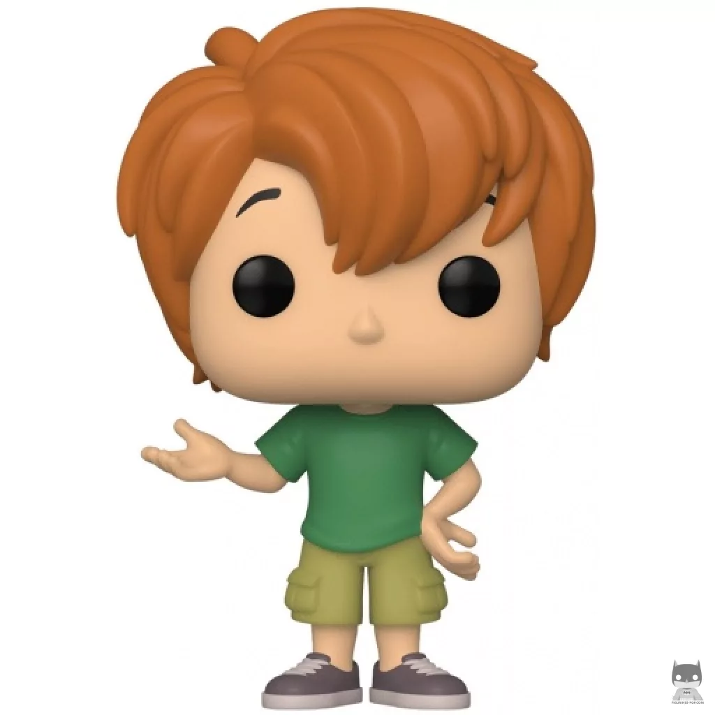 Young Shaggy Funko Pop! figure (Scooby-Doo)