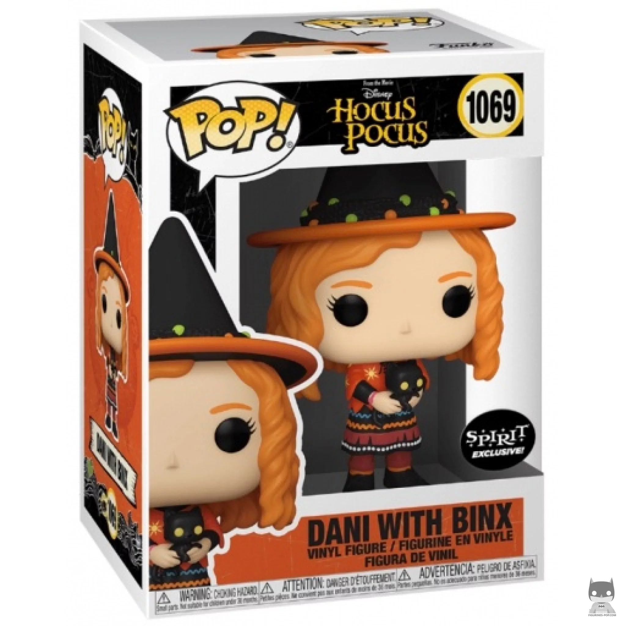 Dani with Binx Funko Pop! figure in its box