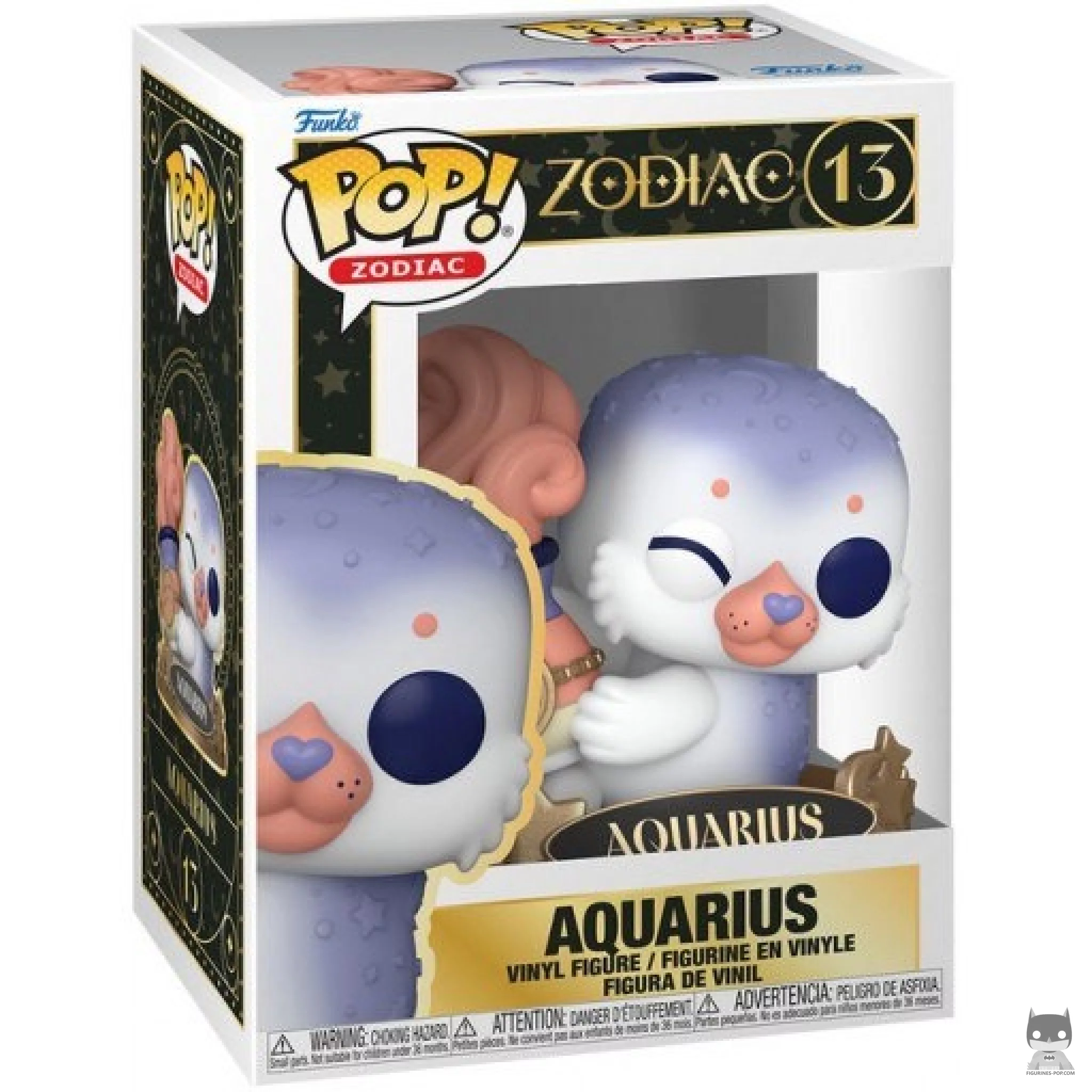 Aquarius Funko Pop! figure in its box