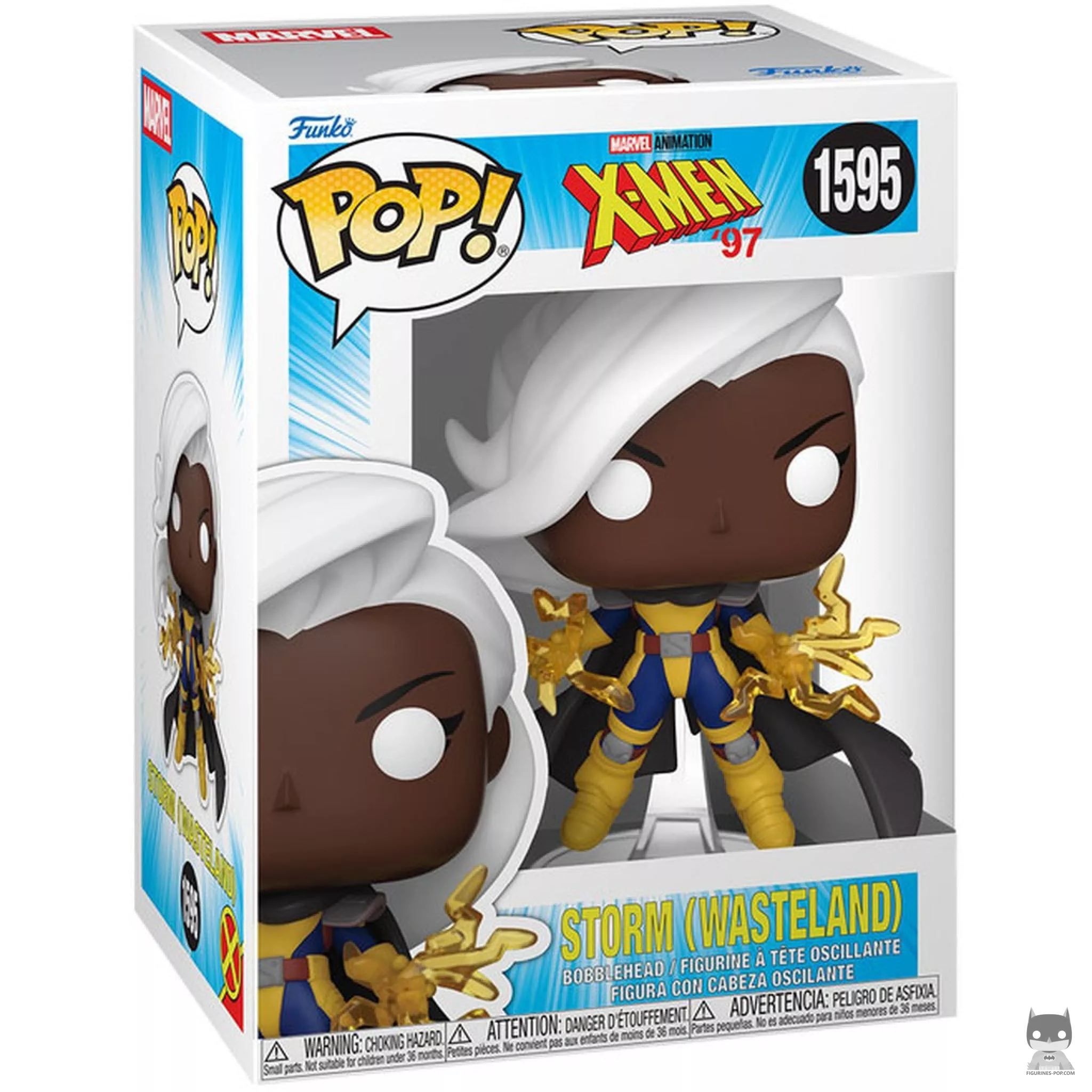 Storm (Wasteland) Funko Pop! figure in its box