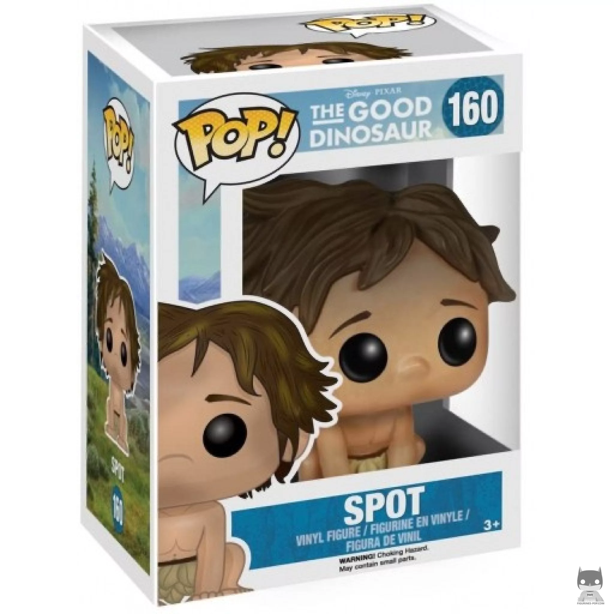 Spot Funko Pop! figure in its box