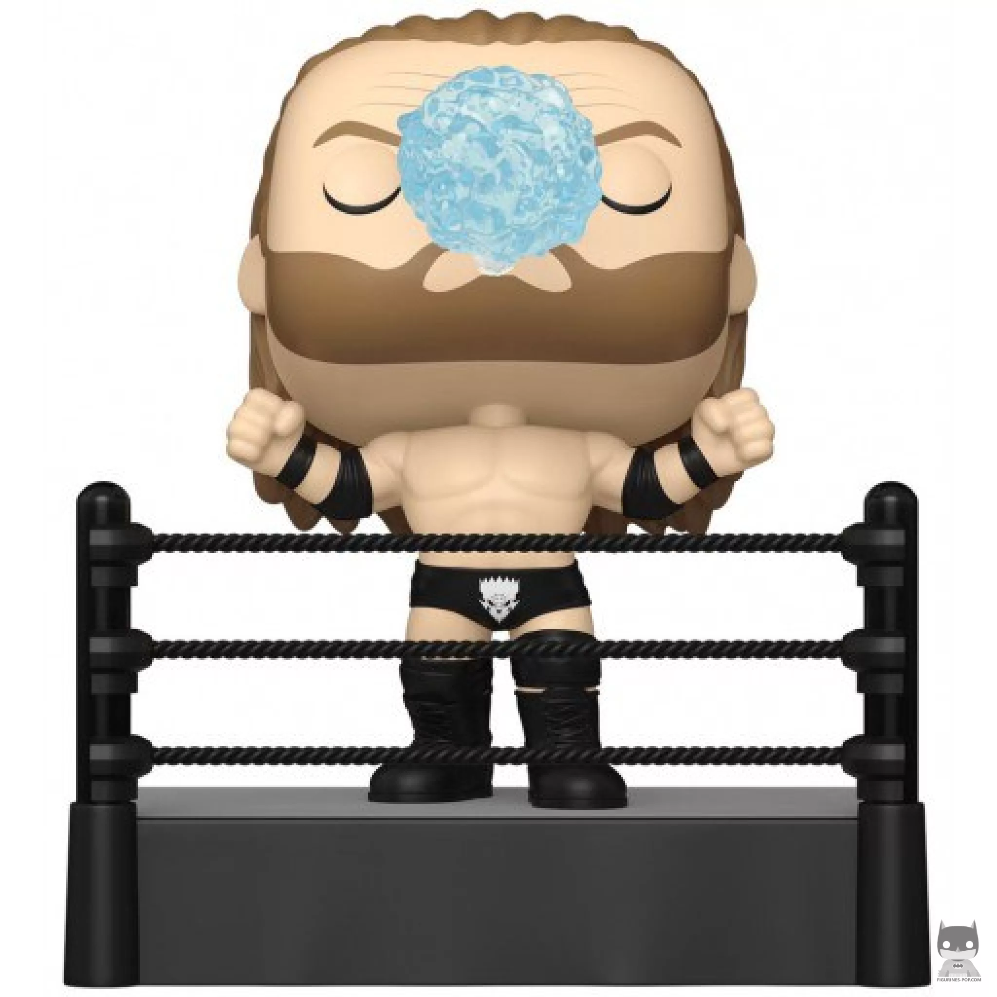 Triple H Funko Pop! figure (WWE)
