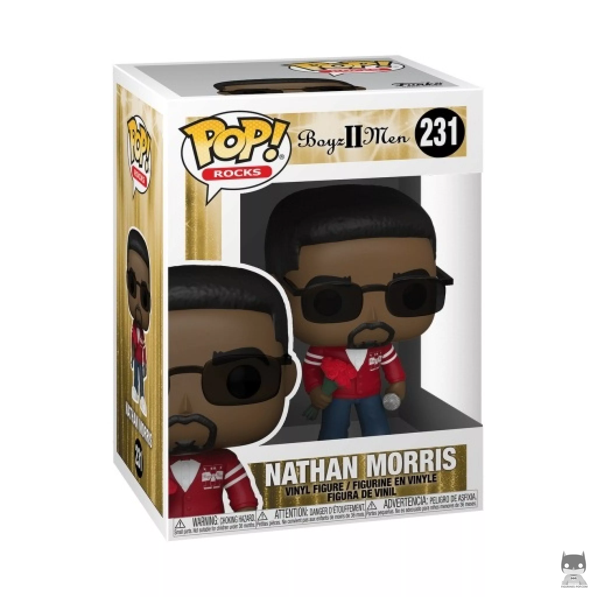 Nathan Morris Funko Pop! figure in its box