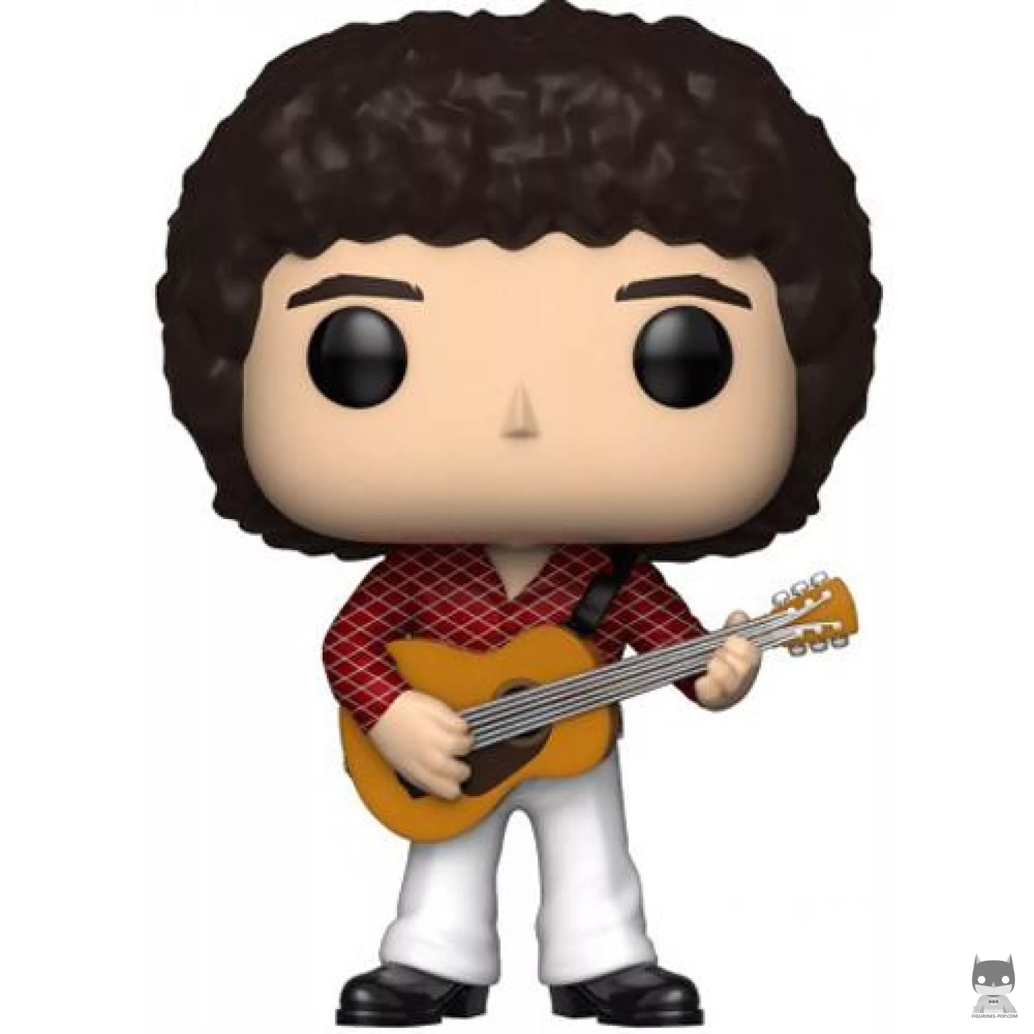 Greg Brady Funko Pop! figure (The Brady Bunch)