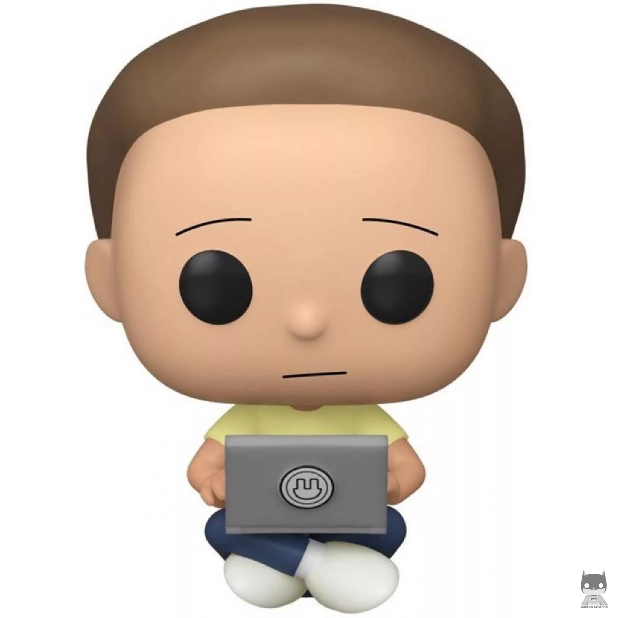 Morty with Laptop Funko Pop! figure (Rick and Morty)