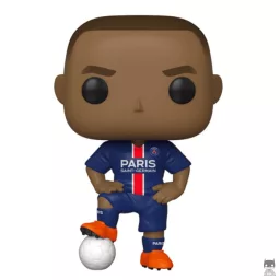 Ligue 1 (French Football League)