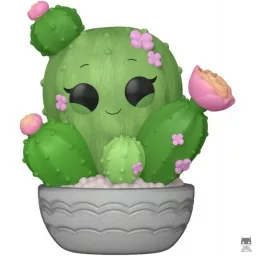 Barrel Cactus