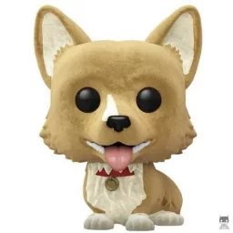 Ein