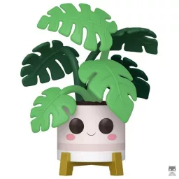 Monstera