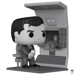 Mr. Robert Wilson