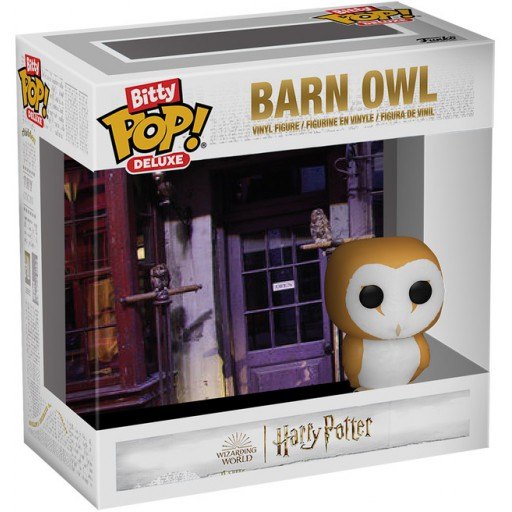 Barn Owl