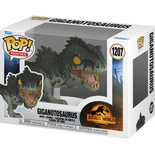 Giganotosaurus dans sa boîte
