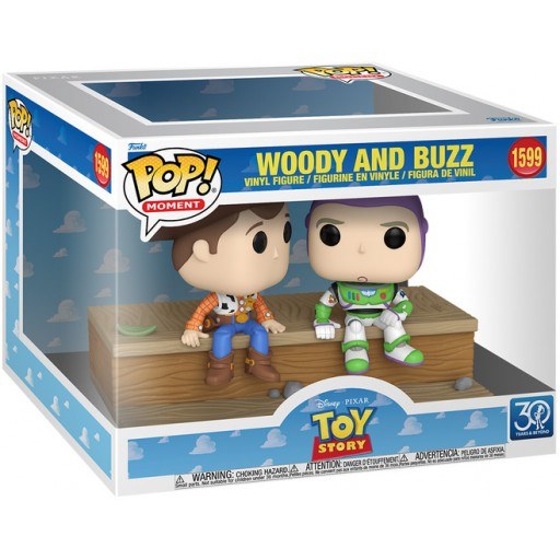 Woody and Buzz (Moment)