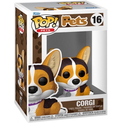 Corgi