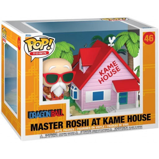 Master Roshi at Kame House